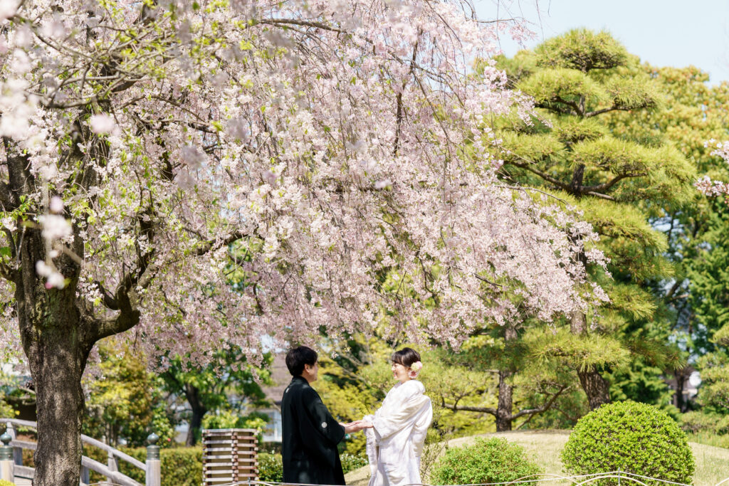 桜満開の花田苑で和装でフォトウェディング撮影